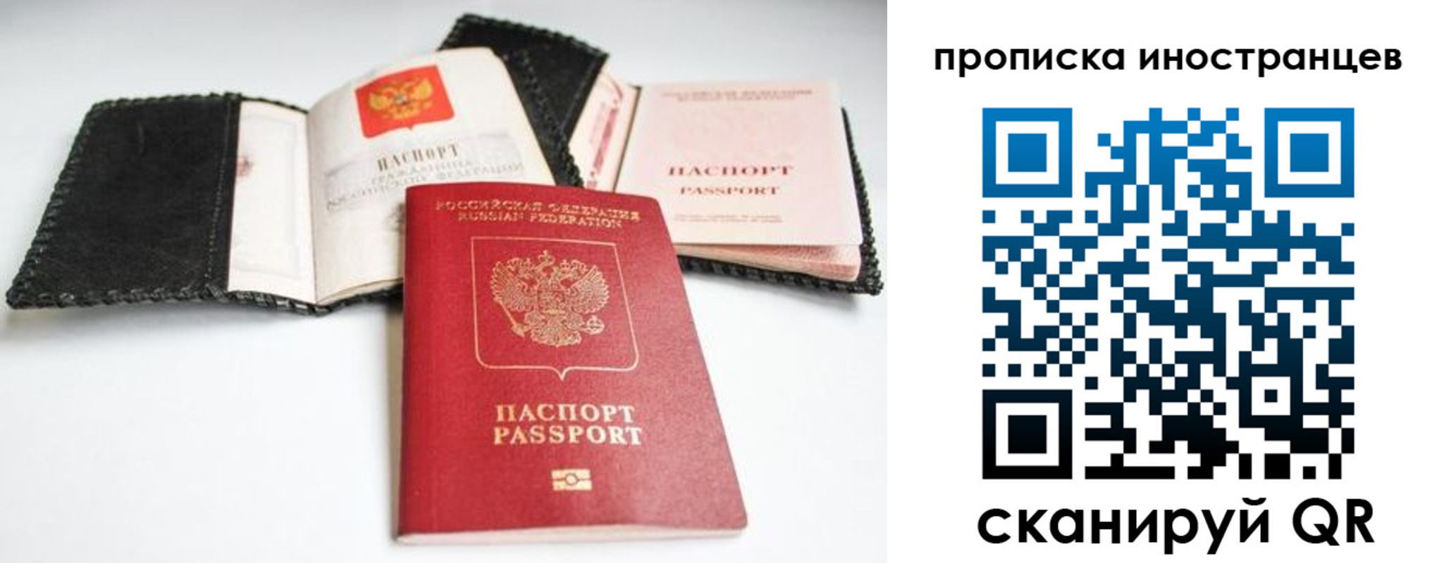 прописка паспорт в Эртили